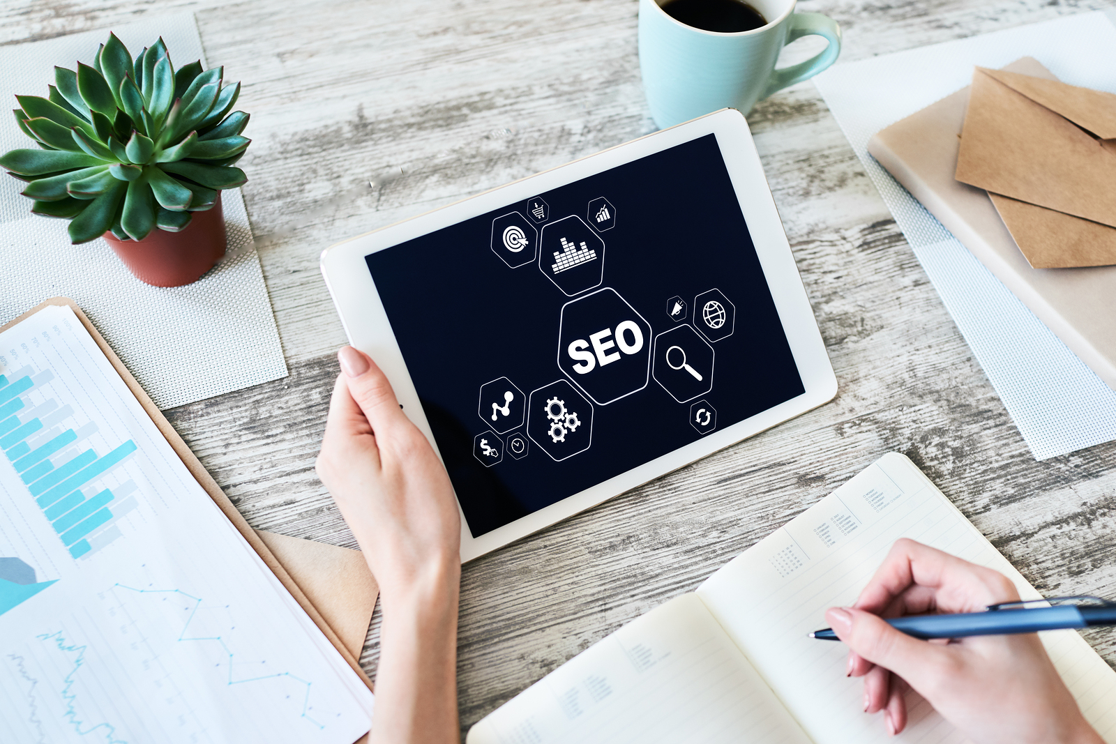 Top Considerations When Choosing the White Label SEO Company | A New India